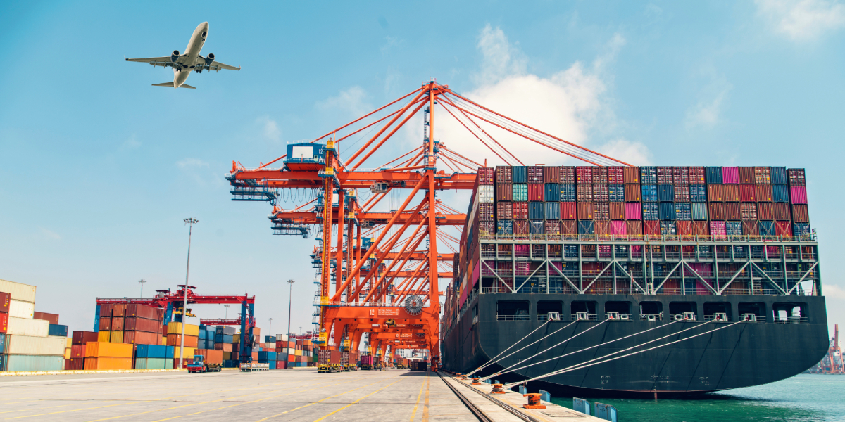 Pacific Dış Ticaret A.Ş